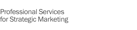 Professional Services for Strategic Marketing