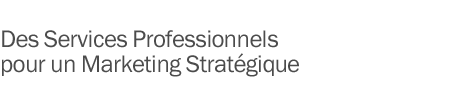 Des Services Professionnels pour un Marketing Stratégique